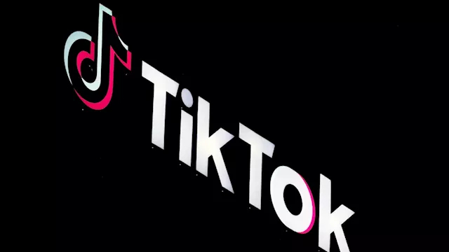 TikTok files challenge against Canadian govt order to dissolve its business