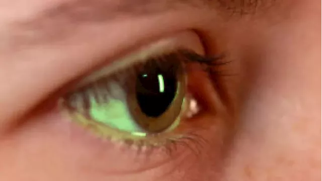 Can a test detect those lyin' eyes? A Utah company says yes. Judges aren't so sure