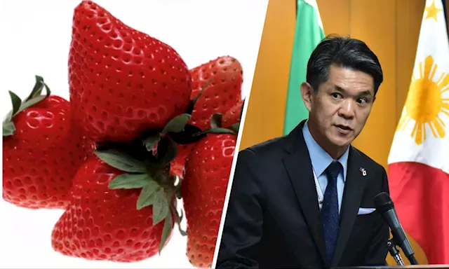 Japan’s strawberries soon to enter PH market—envoy