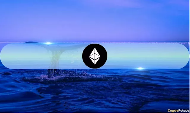 Ethereum Whales Accumulate Record Supply Amidst Market Rally