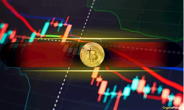 Crypto Market Plunges Following Fed Rate Cut