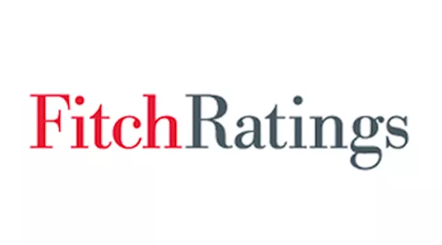 Fitch cites growth potential of PH Islamic finance