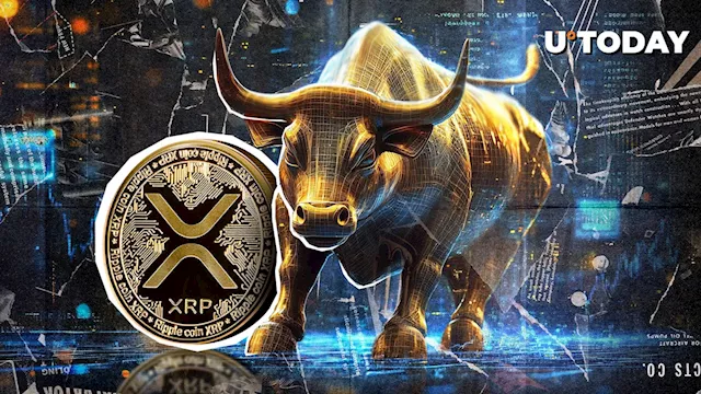 Crypto Market Liquidations Surge, XRP Tops the List