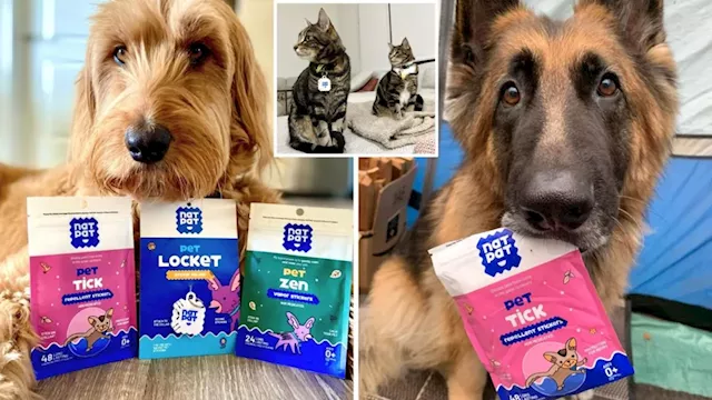 Aussie Company Introduces Safe Tick Repellent for Pets