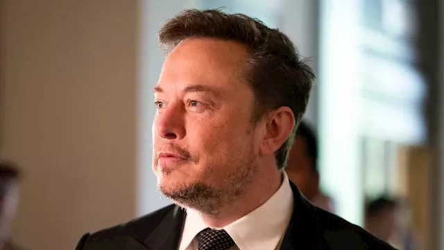 Elon Musk says Magdeburg Christmas market slaughter would not have happened if hard-right AFD were...