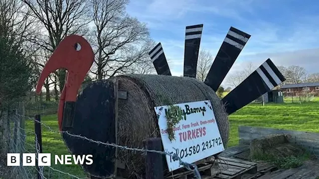 Kent turkey farmer fears for industry's future