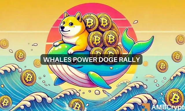 Recent Whale Activities in Dogecoin: A Strategic Accumulation or Market Manipulation?