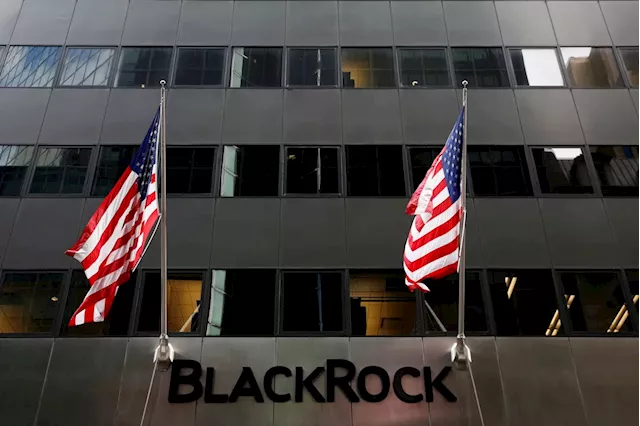 BlackRock bets on AI-driven stocks rally but U.S. debt clouds 2025 outlook