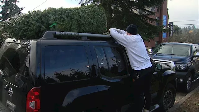 Seattle-area tree lots see steady customer base years after inflation hits business