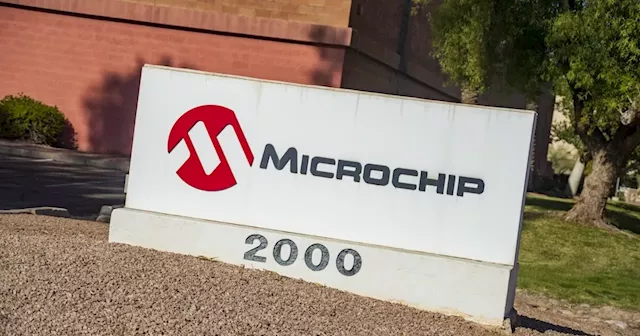 Microchip CEO to review company from ‘top to bottom’ within 90 days