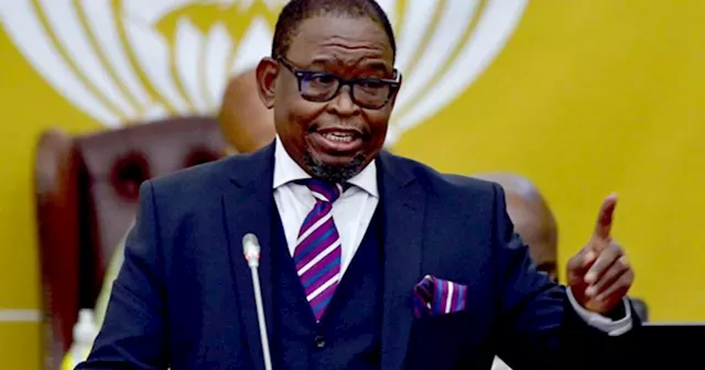 Finance Minister Rules Out SOE Bailouts in South Africa