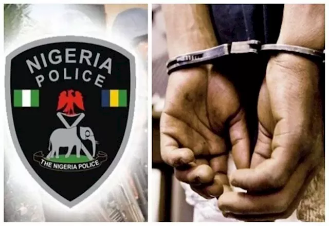 18-year-old arrested for murder of block industry owner in Niger