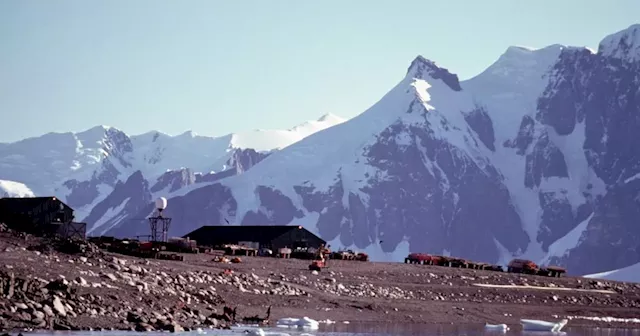 Would you spend Christmas in Antarctica with 40,000,000 penguins for company?