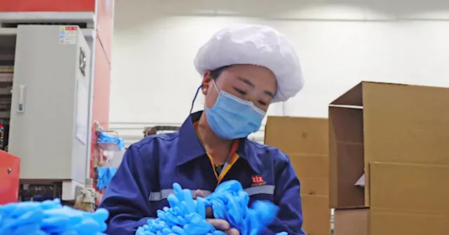 Exclusive: China Has Rapidly Increased Market Share of U.S. Medical Glove Imports During Biden Presidency