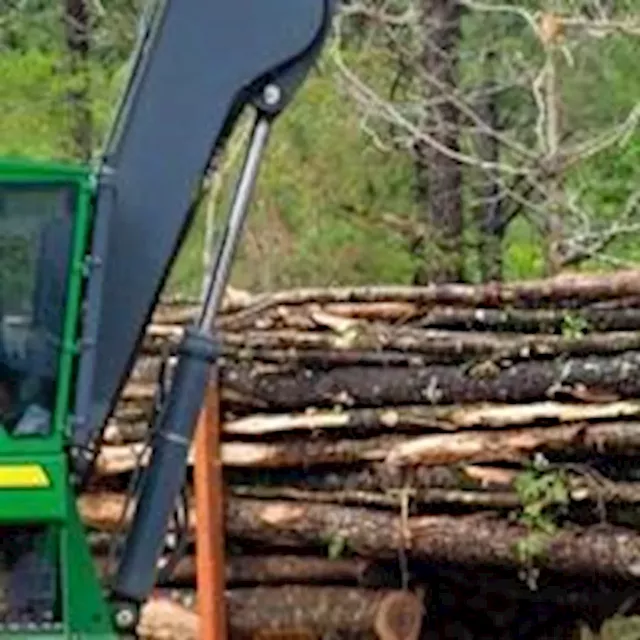 Alabama Timber Market Expected to Improve in 2024