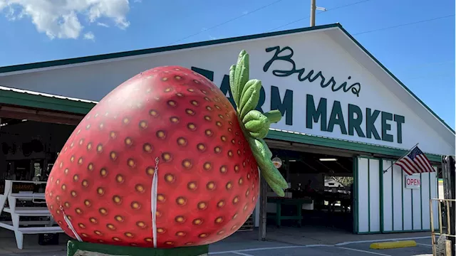 End of an era: Burris Farm Market to close after decades of fruitful service