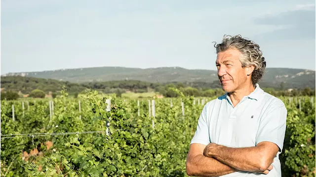 The CEO of Gérard Bertrand Group on Turning a Family Wine Business into a Global Brand