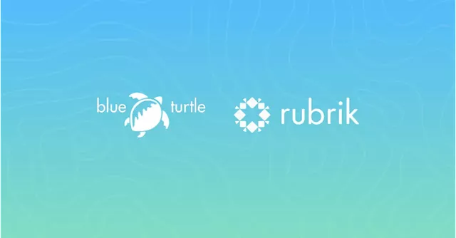 Blue Turtle's strategic investment in Rubrik partnership paves the way for improved Microsoft 365 data security