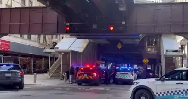 Thief shot by CCL holder inside Chicago Loop business