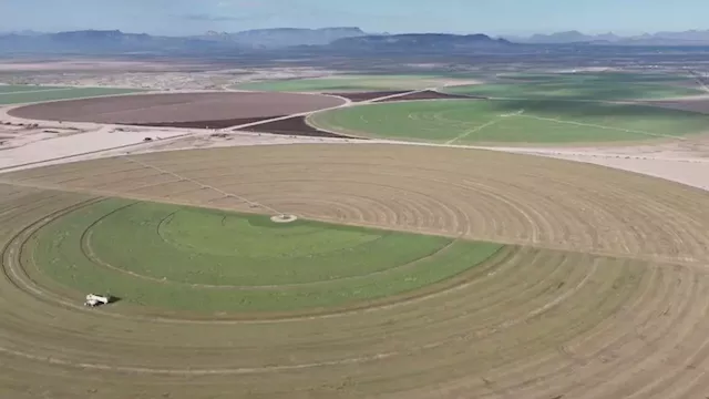 A Saudi business is leaving Arizona valley after it was targeted by the state over groundwater use