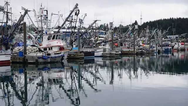 Leading Alaska legislators propose task force to help rescue a seafood industry ‘in a tailspin’