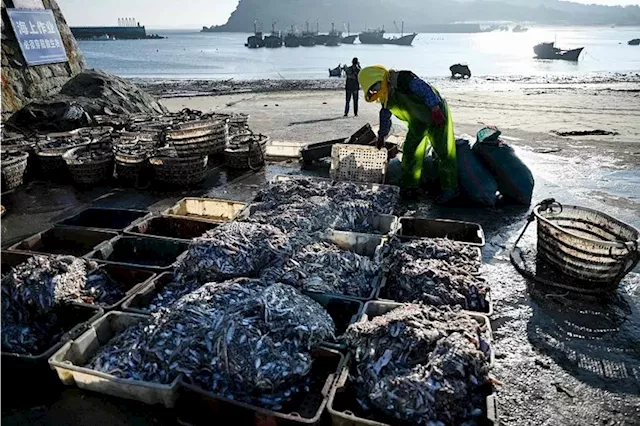 Global Fishing Deal at Risk as Subsidized Fleets Deplete Fish Stocks