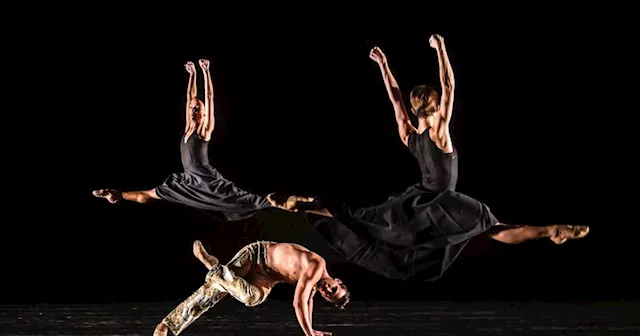 World-renowned São Paulo Dance Company bring the passion of Brazil