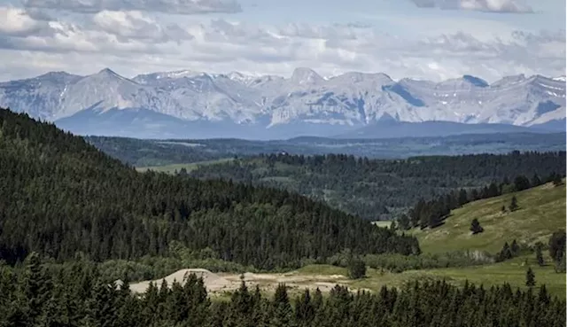 Alberta's renewables industry poses little threat to agriculture and environment, says report