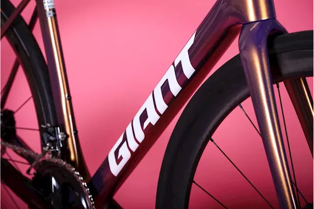 Giant predicts continued short-term 'challenge' for bike industry as profits almost halved and sales down 16% last year