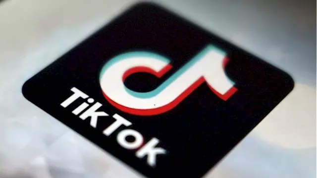 Canadians, parents shouldn't worry about TikTok security review: industry minister