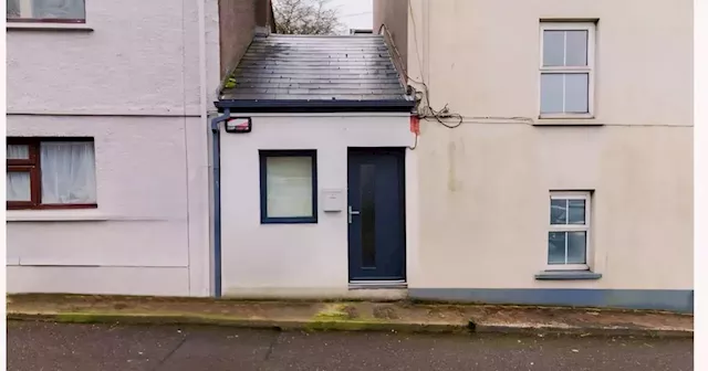 Ireland’s tiniest gem is one of the 'cosiest and cheapest' homes on the market