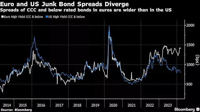 The Everything Rally Comes to Derivatives Market