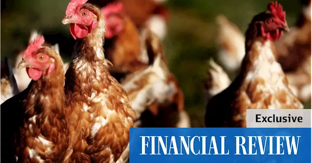 Rural investment: Canadians pay $180m to take control of Queensland egg farmer Ellerslie Free Range Farms