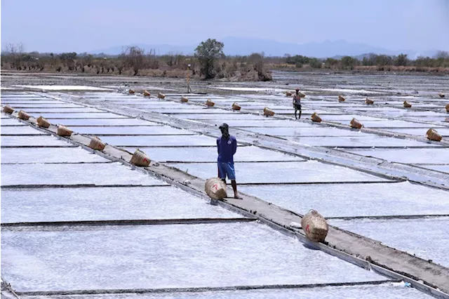 President signs law to save dying PH salt industry