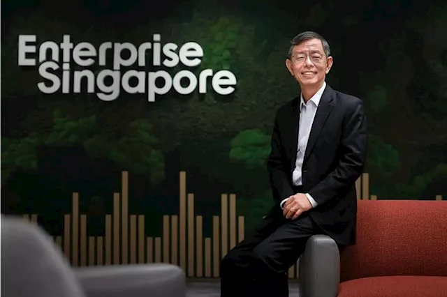 Singapore Companies Expand into New Overseas Markets in 2023