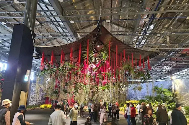 Taiwan International Orchid Show Highlights Orchid Export Industry