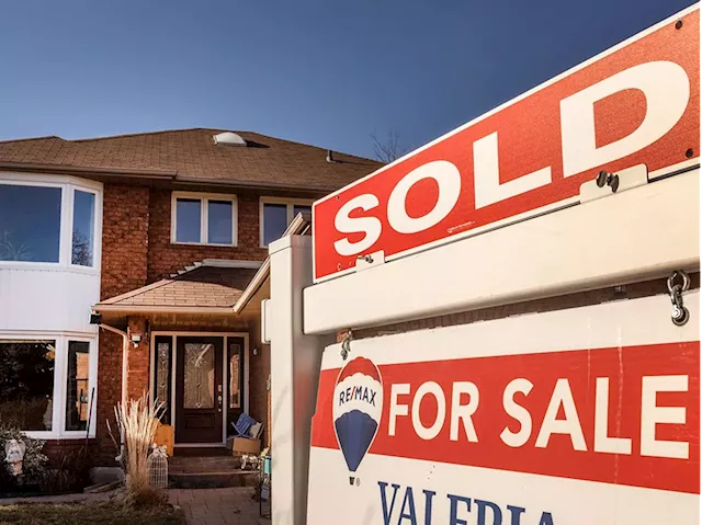 Homebuyers should jump into the market before interest rates go down, says expert