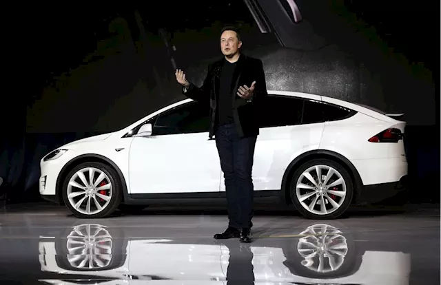 Tesla has chance to ‘grow their market share even more’ thanks to EV startups faltering and legacy automakers focusing on hybrids