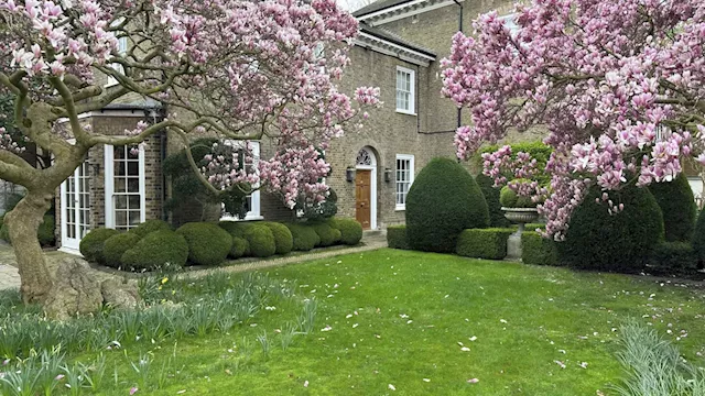 Freddie Mercury's home is on the market for first time since 1980 minus his 'exquisite clutter'