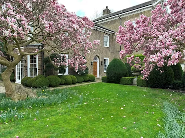 Freddie Mercury's home is on the market for first time since 1980 minus his 'exquisite clutter'