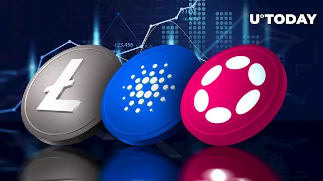 Polkadot, Cardano, Litecoin Attract $6.3 Million Inflows in Epic Market Boom