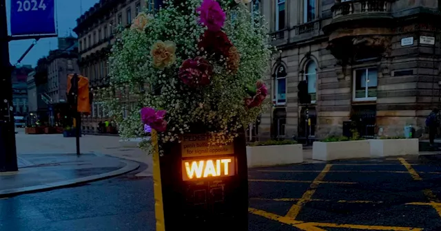 Glasgow flower company labelled 'floral Banksy' as they takeover city centre