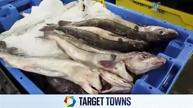 Target Towns: What Grimsby's fish market can tell us about the cost of living