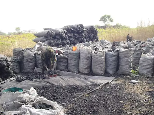 Kaduna to enforce forest laws, tackle charcoal business