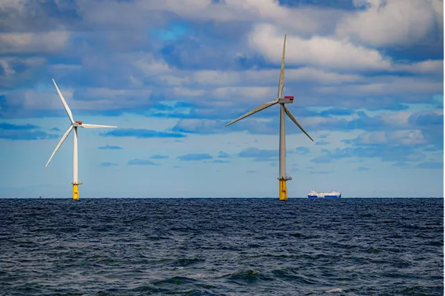 Offshore wind being stifled by lack of government money, industry warns