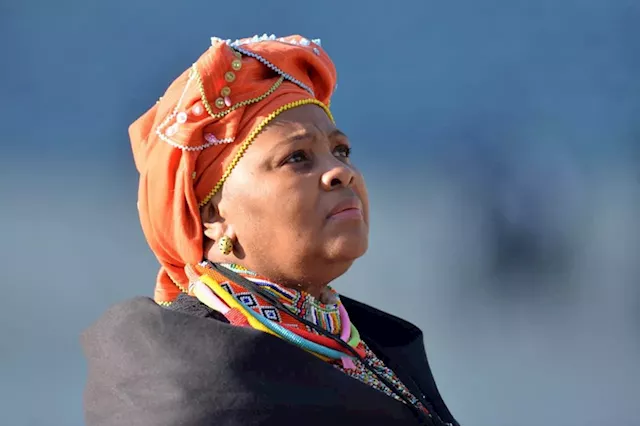  Mapisa-Nqakula, the Watsons and the business of tender meat