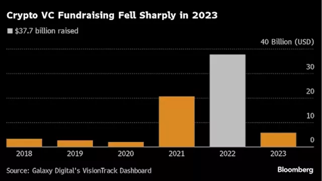 Crypto Venture Capital Backers Are Dubious About Bull-Market Hype