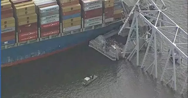 Baltimore Bridge Collapse and Port Closure Send Companies Scrambling to Reroute Cargo