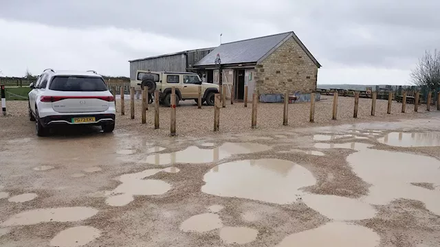 Back open for business! Jeremy Clarkson's Diddly Squat farm shop welcomes back visitors for the...