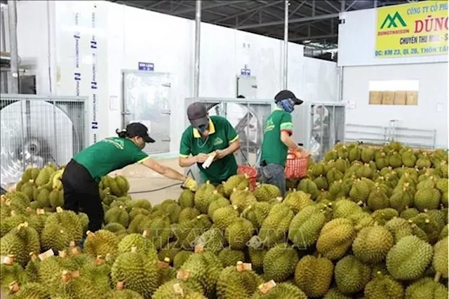 Led by its ever expanding durian market, Vietnam agricultural product exports boom in first months of 2024